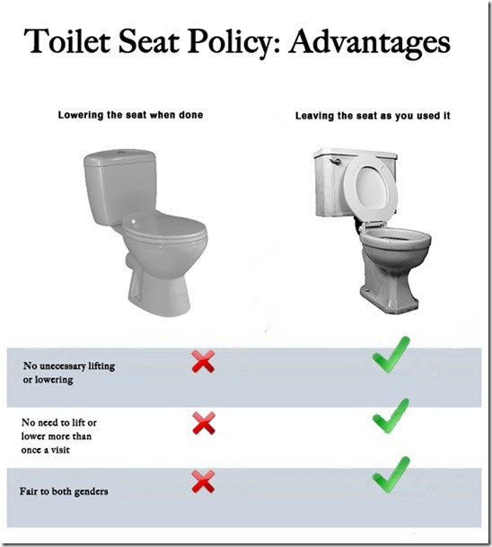 Law Actually Toilet Seat Up or Down Pros and Cons